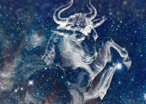 金牛座跟哪個星座最不合